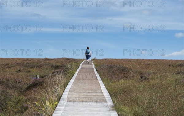 Ireland, Cavan County, Cuilcagh Mountain Park, Woman on boardwalk