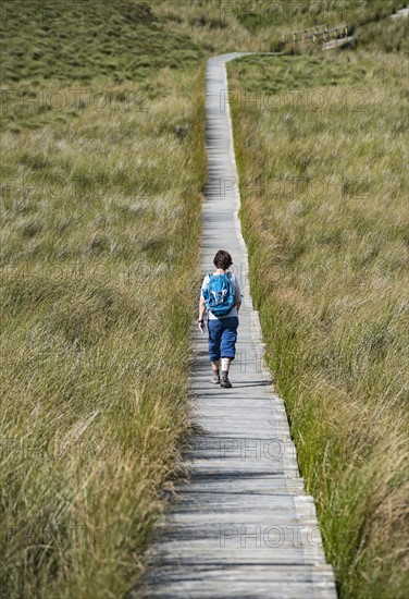 Ireland, Cavan County, Cuilcagh Mountain Park, Woman on boardwalk