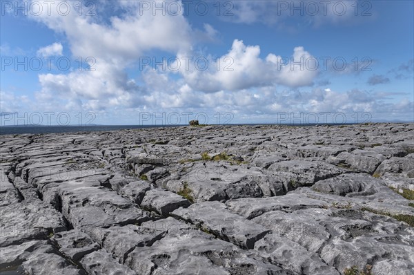 Ireland, Clare County, Burren, Limestone landscape