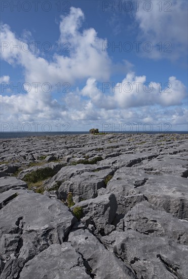 Ireland, Clare County, Burren, Limestone landscape