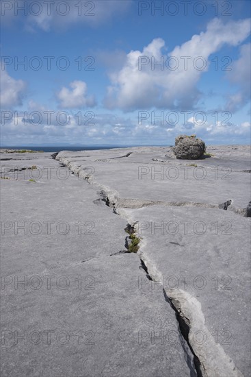 Ireland, Clare County, Burren, Limestone landscape