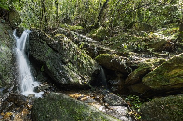 Waterfall in forest