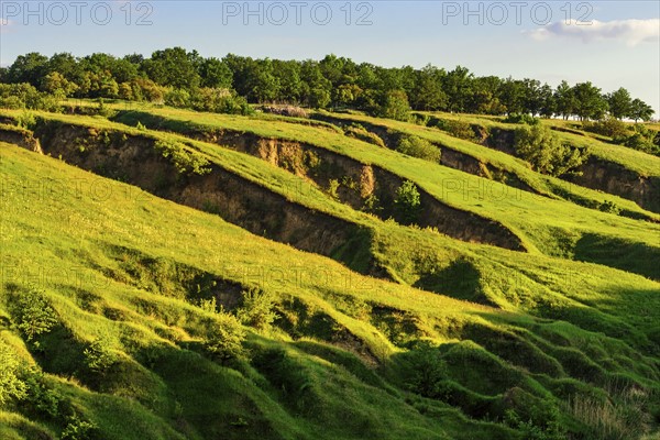 Ukraine, Dnepropetrovsk region, Dnepropetrovsk city, Green landscape formed by geological erosion