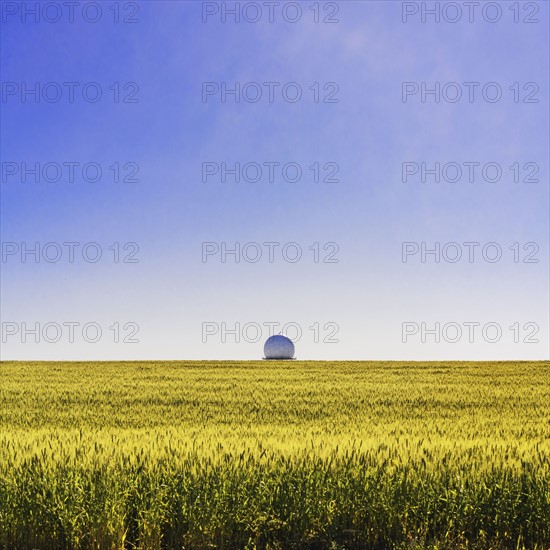 Ukraine, Dnepropetrovsk region, Dnepropetrovsk city, Radar in middle of field of wheat