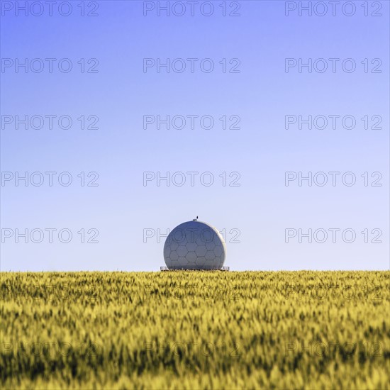 Ukraine, Dnepropetrovsk region, Dnepropetrovsk city, Radar in middle of field of wheat