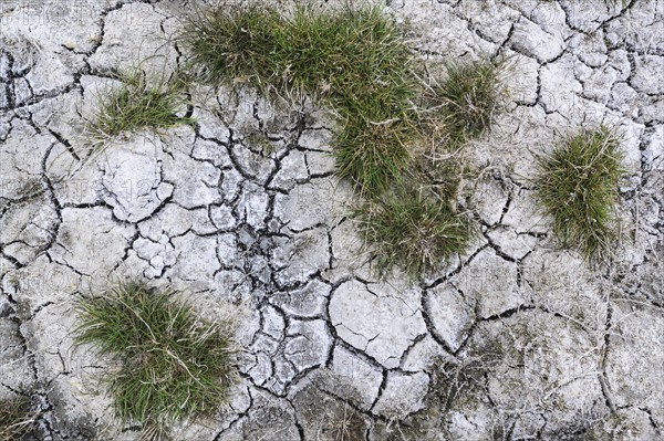 Ukraine, Dnepropetrovsk Region, Novomoskovskiy District, Lake Soleniy Lyman, Cracked dirt with clumps of dress