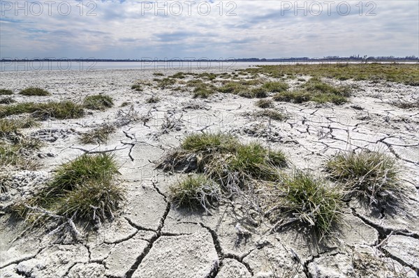 Ukraine, Dnepropetrovsk Region, Novomoskovskiy District, Lake Soleniy Lyman, Cracked dirt next to lake