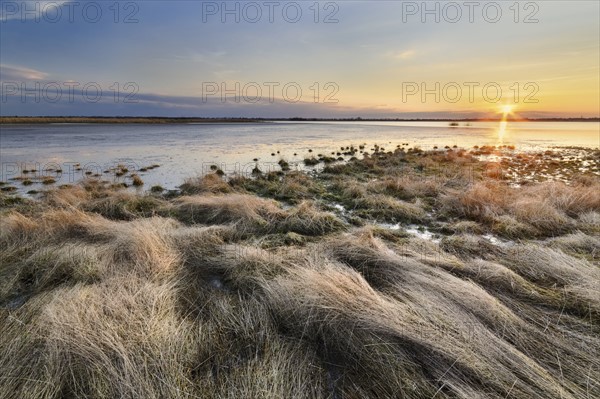 Ukraine, Dnepropetrovsk Region, Novomoskovskiy District, Lake Soleniy Lyman, Sunrise over lake