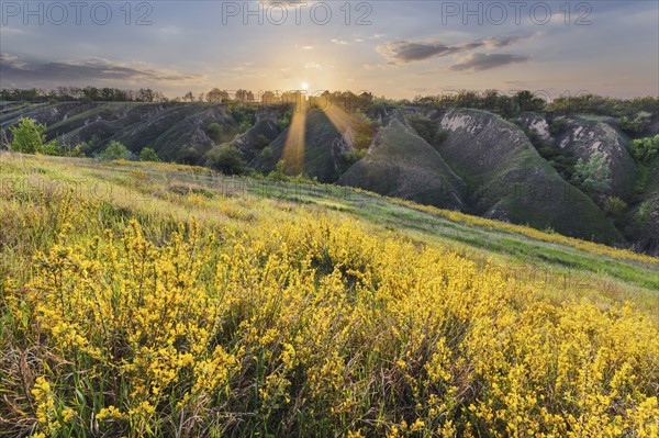 Ukraine, Dnepropetrovsk Region, Novomoskovskiy District, Lake Soleniy Lyman, Sunrise over landscape