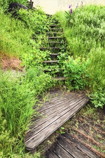 Ukraine, Dnepropetrovsk Region, Dnepropetrovsk District, Voloske, Wooden steps overgrown by grass