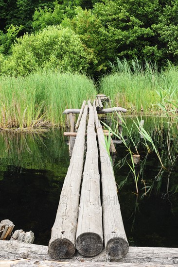 Ukraine, Dnepropetrovsk region, Novomoskovsk district, Wooden footbridge over waterbay