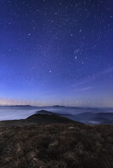 Ukraine, Zakarpattia region, Rakhiv district, Carpathians, Chornohora, Sheshul, Mist over mountain meadow at dawn