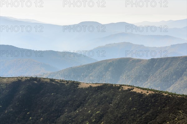 Ukraine, Zakarpattia region, Rakhiv district, Carpathians, Chornohora, Mountain landscape with mist