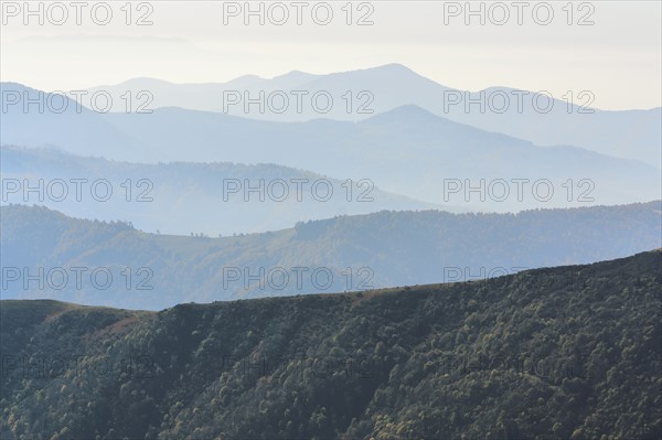 Ukraine, Zakarpattia region, Rakhiv district, Carpathians, Chornohora, Mountain landscape with mist