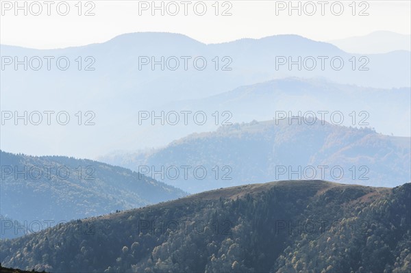 Ukraine, Zakarpattia region, Rakhiv district, Carpathians, Chornohora, Mountain landscape with mist