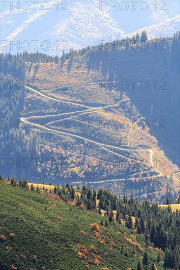 Ukraine, Zakarpattia region, Rakhiv district, Carpathians, Chornohora, Landscape with mountain Turkul