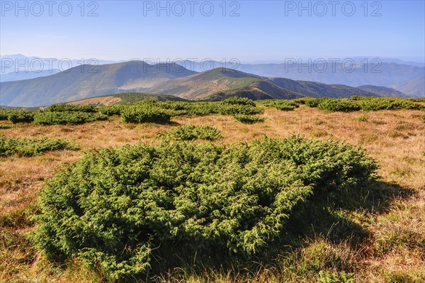 Ukraine, Zakarpattia region, Rakhiv district, Carpathians, Chornohora, mountain Sheshul, Blue sky over mountain range