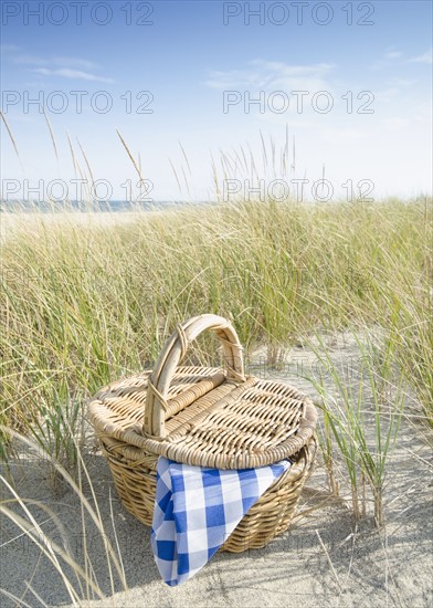Picnic basket on beach