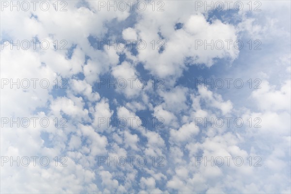 White cumulus clouds on blue sky