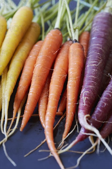 Close up of colorful carrots