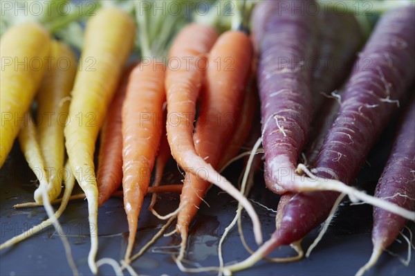 Close up of colorful carrots
