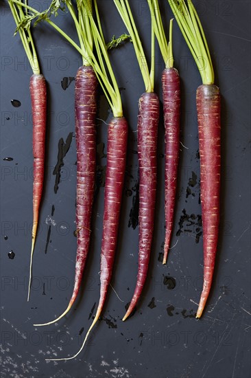 Directly above view of carrots