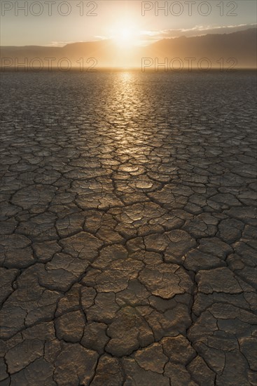 USA, Oregon, Alvord Desert, Cracked soil at sunset