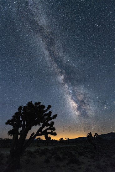 USA, California, Death Valley National Park, Milky way over desert