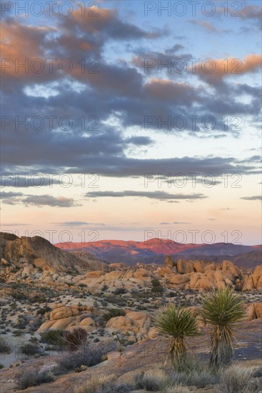USA, California, Joshua Tree National Park, Desert with rock formations at sunset