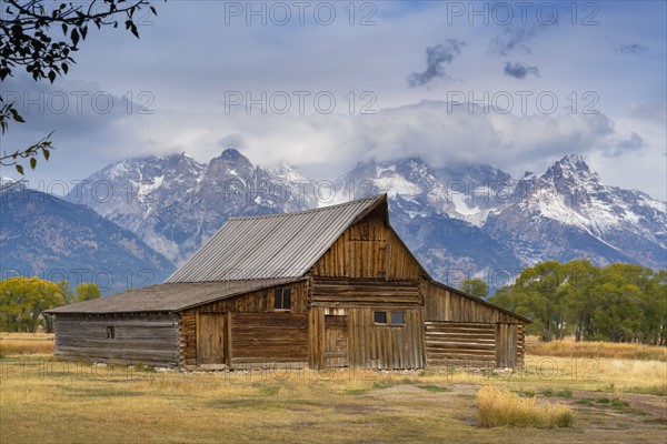 USA, Wyoming, Grand Teton National Park, Moulton Barn, Wooden barn in meadow