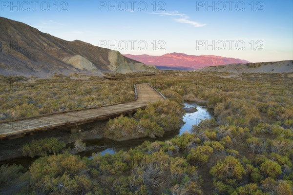 USA, California, Death Valley National Park, Salt Creek, Boardwalk next to stream