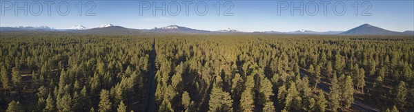 USA, Oregon, Sisters, Elevated view of evergreen forest with mountains in background