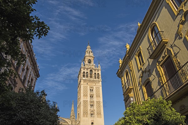 Spain, Seville, Old town with Giralda tower