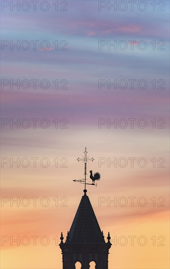 Spain, Andalusia, Seville, Weathercock on top of tower at sunset