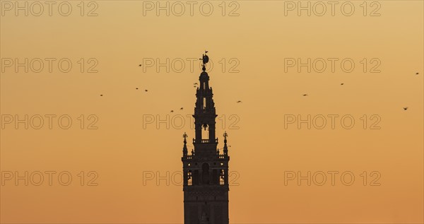 Spain, Andalusia, Seville, Bell tower of La Giralda against yellow sky with birds flying around