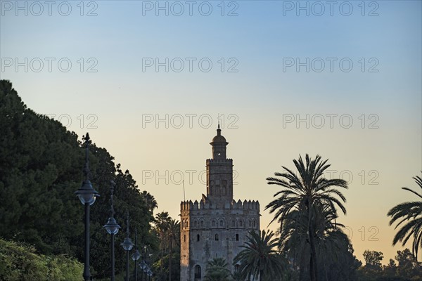 Spain, Andalusia, Seville, Torre del Oro at dawn