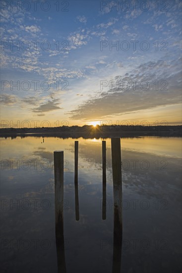 USA, Massachusetts, Cape Cod, Eastham, Mooring posts in lake at sunrise