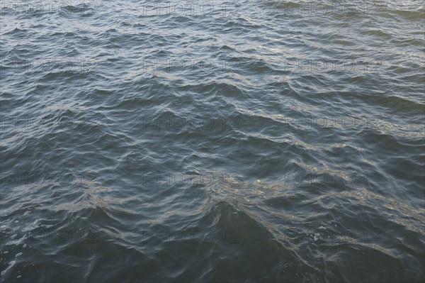 Rippled water