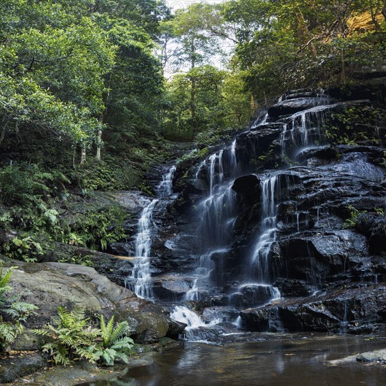 Australia, New South Wales, Waterfall called Wentworth Falls