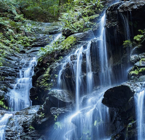 Australia, New South Wales, Waterfall called Wentworth Falls