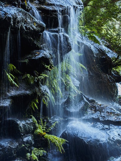 Australia, New South Wales, Waterfall called Wentworth Falls