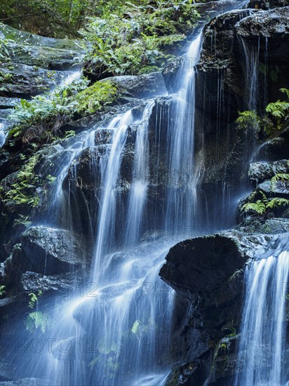 Australia, New South Wales, Waterfall called Wentworth Falls