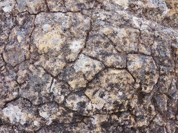 Australia, New South Wales, Cracked pattern on rock in Blue Mountains