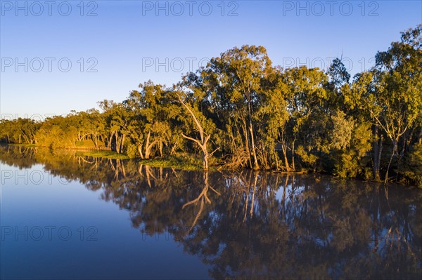 Australia, Queensland, St George, Clear sky above standing water and forest