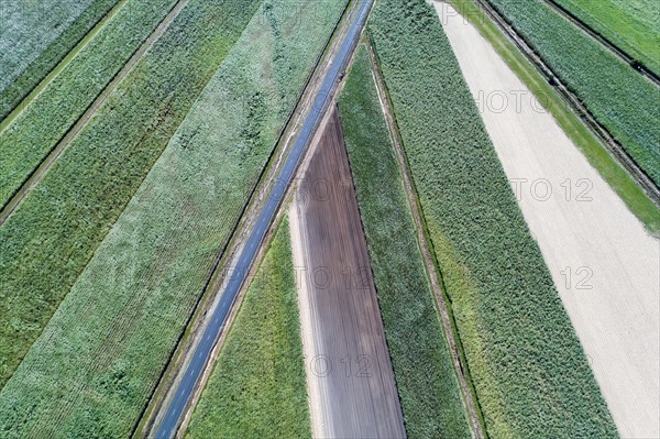 Aerial view of road and fields