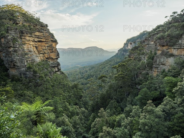Australia, New South Wales, Landscape of Blue Mountains