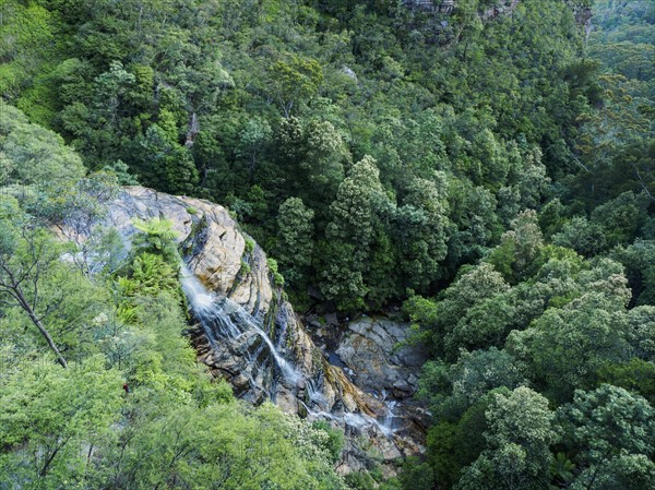 Australia, New South Wales, Landscape of Blue Mountains