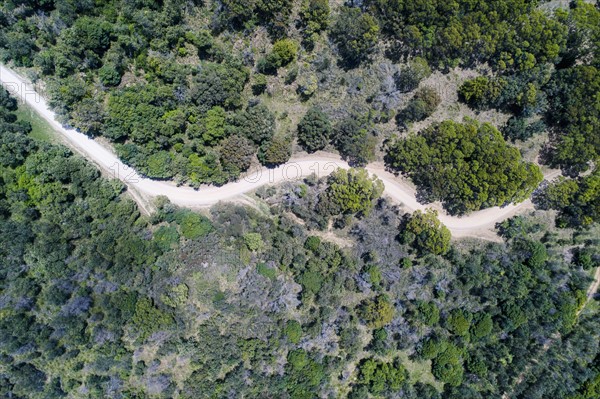 Australia, Landscape with road through Kangaroo Valley