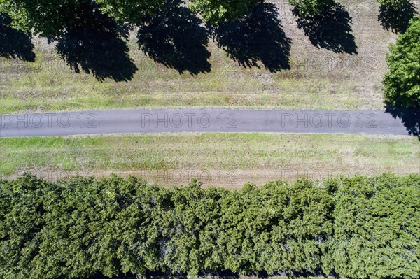 Path between trees