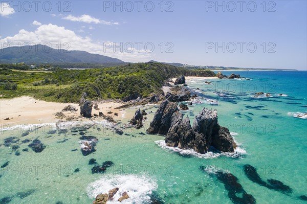 Australia, New South Wales, Bermagui, Landscape with forest and beach